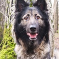 51763 - RONJA (JESSY)
