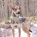60481 - RIKKI