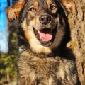 60729 - ALJA