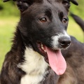80725 - KENA DORIS