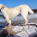 79482 - MARLY
