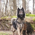 51763 - RONJA (JESSY)