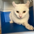 260340
