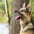 54708 - HANNA