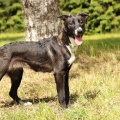 80725 - KENA DORIS