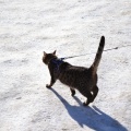 130301 T-1/ Tallinn/ AKSEL