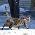 130301 T-1/ Tallinn/ AKSEL
