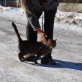 130301 T-1/ Tallinn/ AKSEL