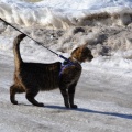 130301 T-1/ Tallinn/ AKSEL