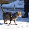 130301 T-1/ Tallinn/ AKSEL
