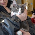 130363 Fuajee/ Tallinn/ DIANA