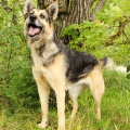 54708 - HANNA