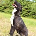 80725 - KENA DORIS