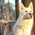 74424 - AZAR