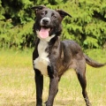 80725 - KENA DORIS