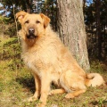 31386 - DONNA