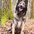 51763 - RONJA (JESSY)