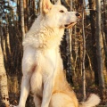 74424 - AZAR