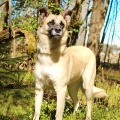85249 - BERTA