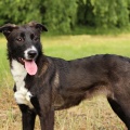 80725 - KENA DORIS