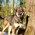 60729 - ALJA