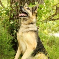54708 - HANNA