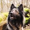 51763 - RONJA (JESSY)