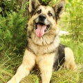 54708 - HANNA