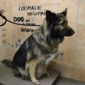 51763 - RONJA (JESSY)