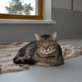 130301 T-1/ Tallinn/ AKSEL