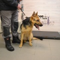 79298 -  BERTA  (LUCKY)
