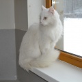 130206 T-5/ Tallinn