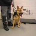 79298 -  BERTA  (LUCKY)