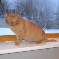 130137 T-5/ Tallinn