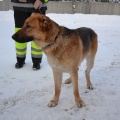 26530 - Rae vald/ BOSSE