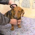 65467 - NORA