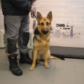 79298 -  BERTA  (LUCKY)