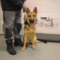 79298 -  BERTA  (LUCKY)