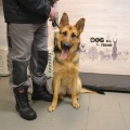 79298 -  BERTA  (LUCKY)