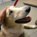 54341 - MAI (BAILEY)
