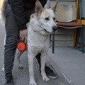 74424 - AZAR