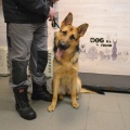 79298 -  BERTA  (LUCKY)