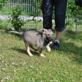 6892-6895 - Tallinn/ MIA