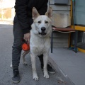 74424 - AZAR