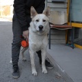 74424 - AZAR