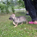 6892-6895 - Tallinn/ MIA