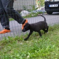 6892-6895 - Tallinn/ MIA