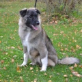 64894 - VASYA