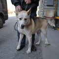 74424 - AZAR