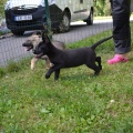 6892-6895 - Tallinn/ MIA